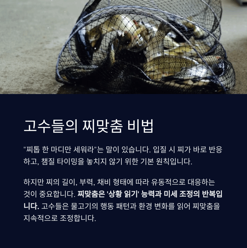 찌맞춤