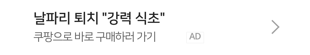 날파리