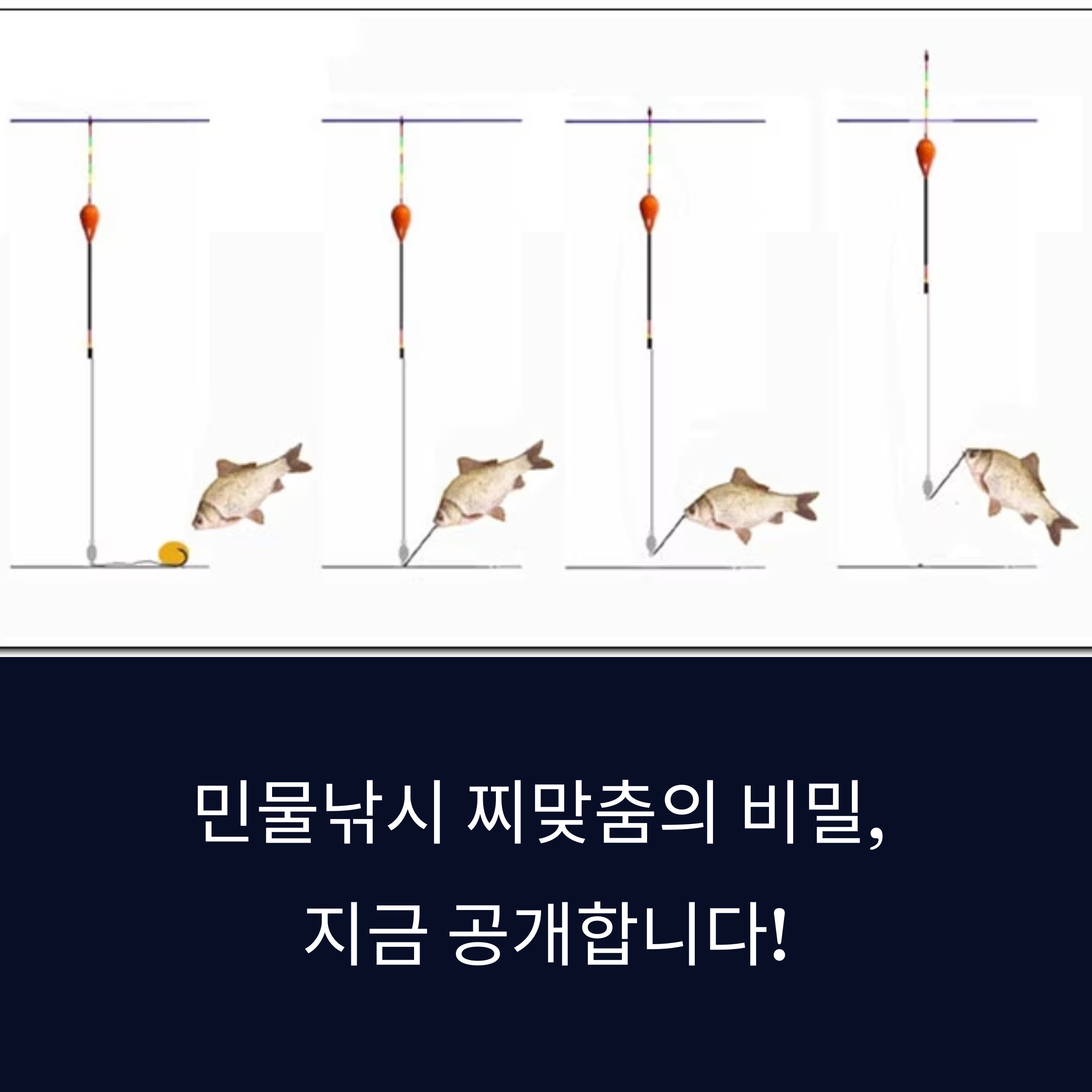 찌맞춤