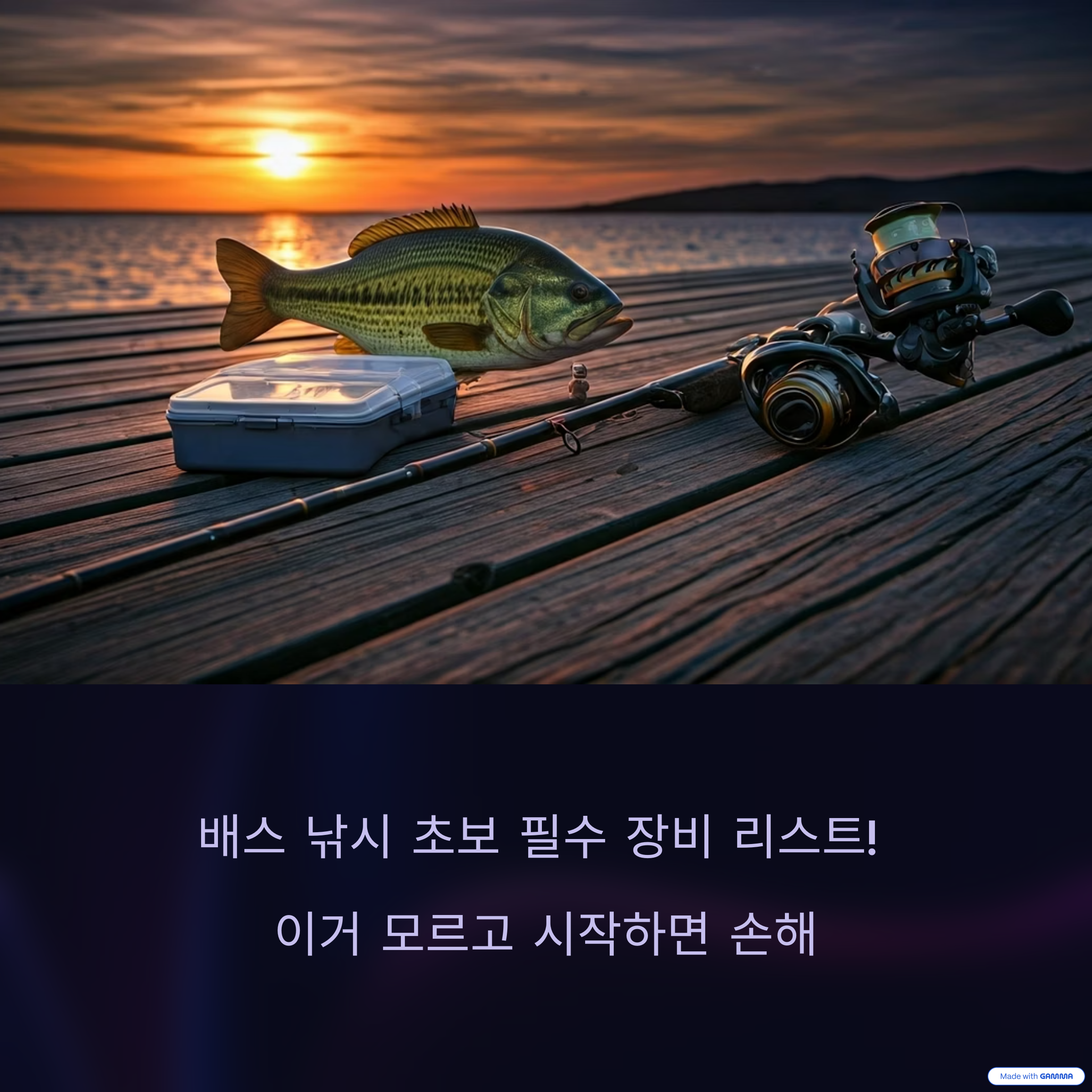 낚시 입문자