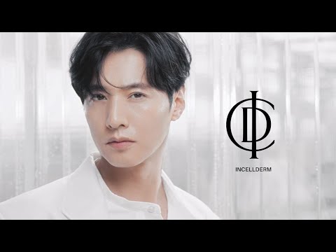 인셀덤 리뉴얼